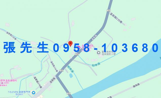 台東法拍華廈-1