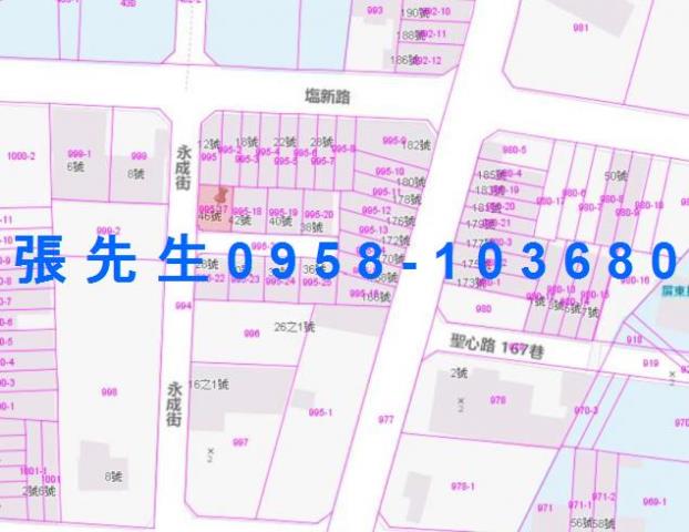 屏東新園法拍透天-4