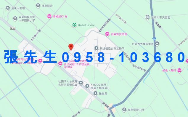 台東卑南法拍透天-1