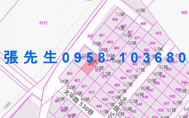 台東卑南法拍透天-2