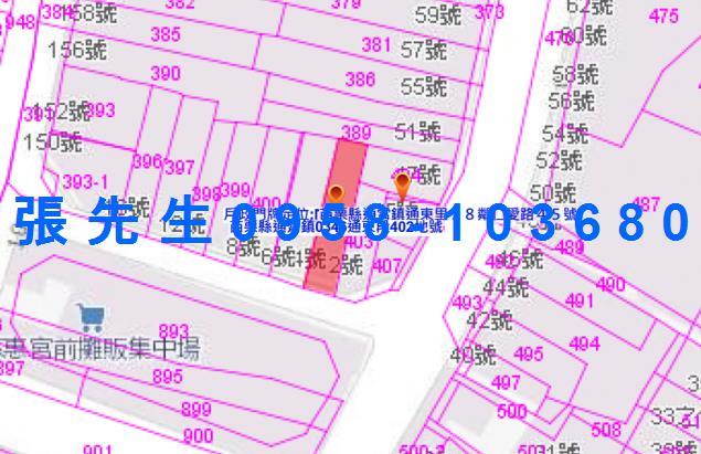 苗栗通霄法拍透天-1