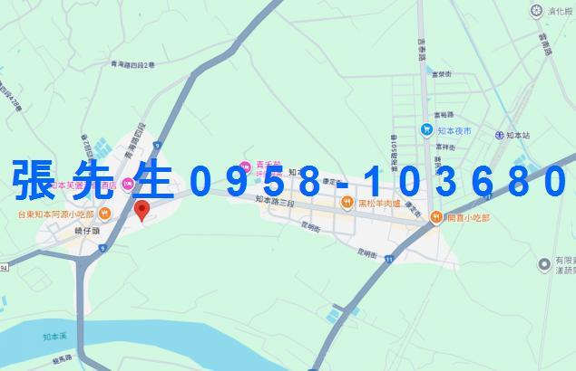台東台東市透天法拍-1