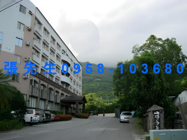 卑南法拍華廈-1