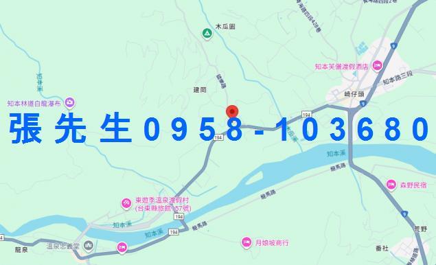 卑南法拍華廈-5