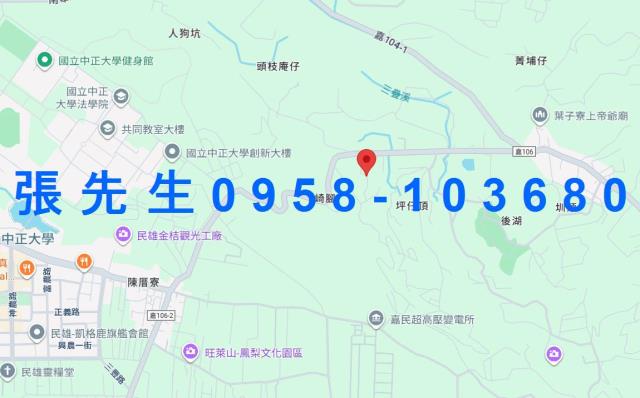 民雄拍賣透天-8