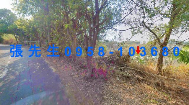 台中后里農舍法拍-6