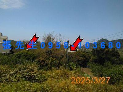 台中豐原法拍透天-0