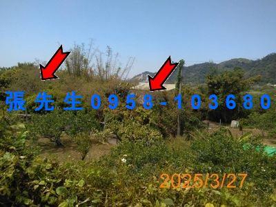 台中豐原法拍透天-1