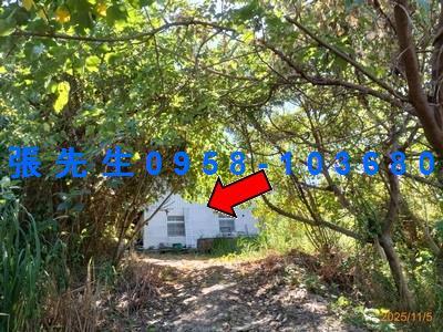 台中豐原法拍透天-3