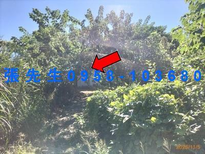 台中豐原法拍透天-4