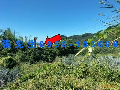 台中豐原法拍透天-5