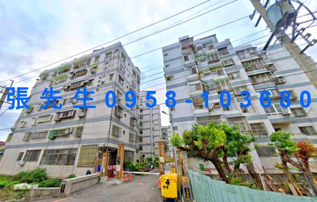 潭子拍賣華廈-0