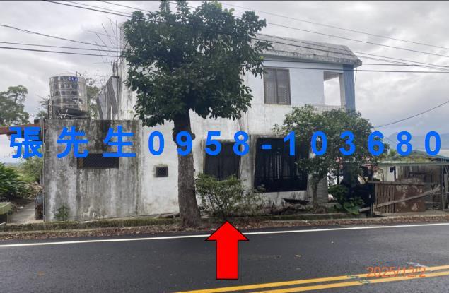 台東鹿野拍賣透天-2