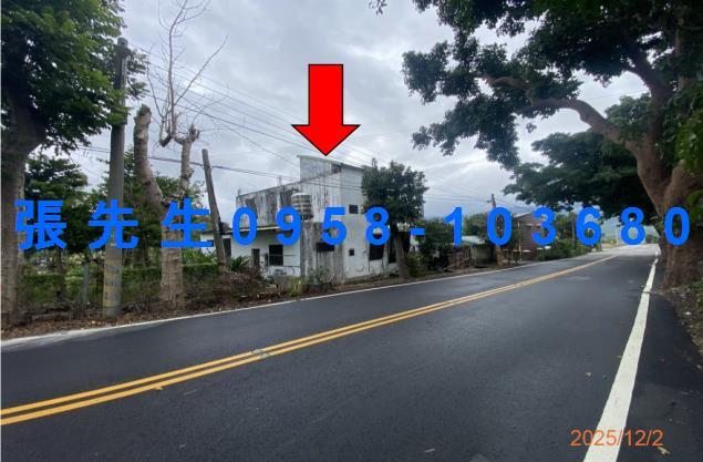 台東鹿野拍賣透天-3