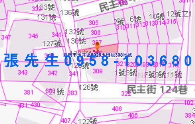 台南玉井法拍透天-4