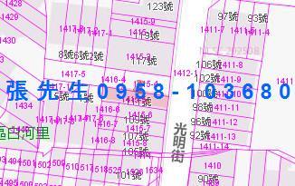 台南白河法拍透天-0