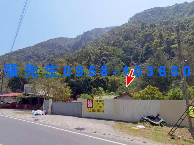 南投埔里一樓拍賣-3