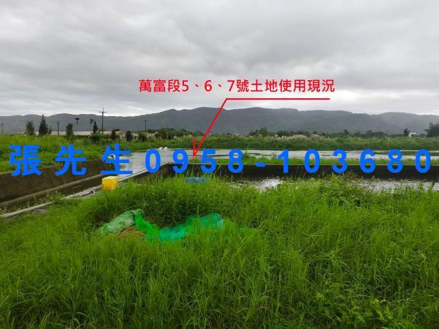 壽豐法拍農舍-5