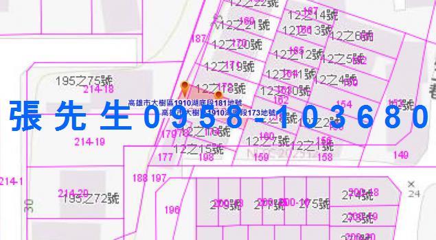大樹拍賣透天-4