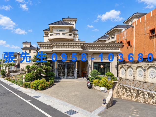 彰化田尾拍賣透天-0